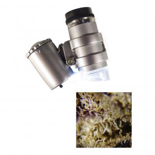 Microscope LED Lumagny grossissement 100x - Grow Barato