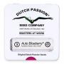 Auto Blueberry (Pack 3 graines)