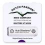 Auto Blueberry (Pack 7 graines)