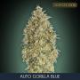 Auto Gorilla Blue (1-seed pack)