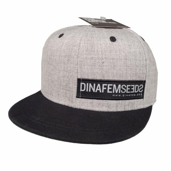 Dinafem Grey Flat Cap (1 unit)