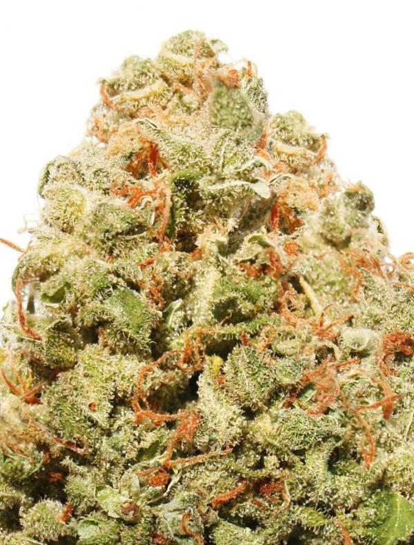 Strawberry Cake (3-seed pack)