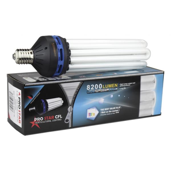 Lampe CFL Croissance (200 W)