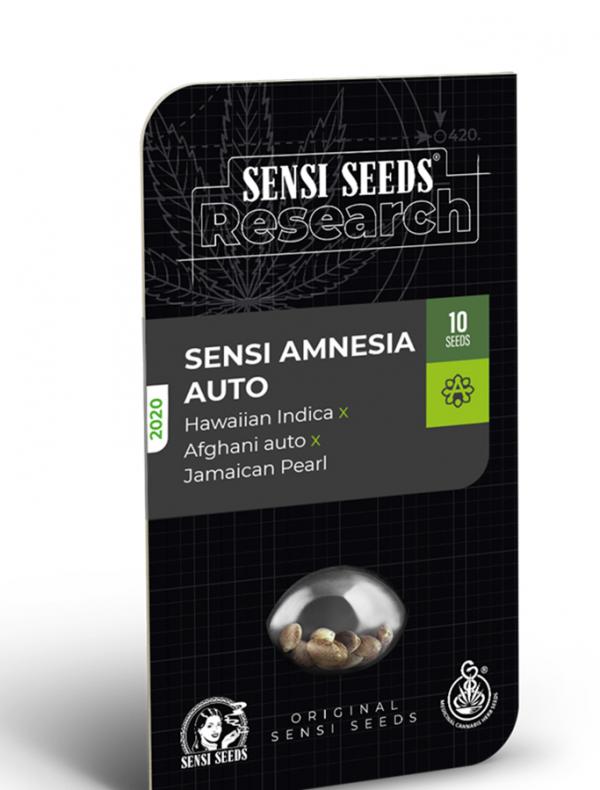 Sensi Amnesia Auto (Pack 3 semillas)