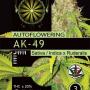 AK-49 Auto (3-seed pack)