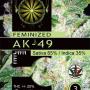 AK-49 (Pack 3 semillas)