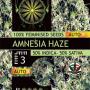 Amnesia Haze Auto (Pack 3 semillas)