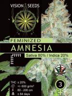 Amnesia (Pack 3 graines)