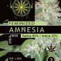 Amnesia (Pack 3 semillas)