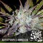Auto Purple Amnesia (5-seed pack)