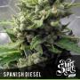 Auto Spanish Diesel (Pack 5 graines)