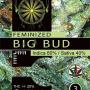Big Bud (3-seed pack)