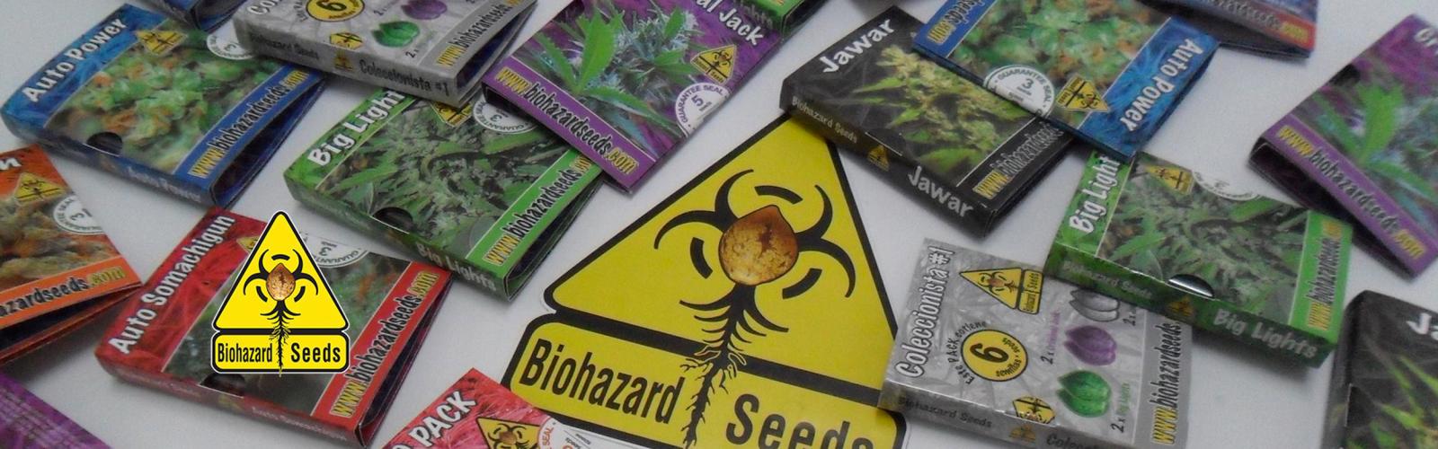Graines de Cannabis Féminisées Biohazard Seeds