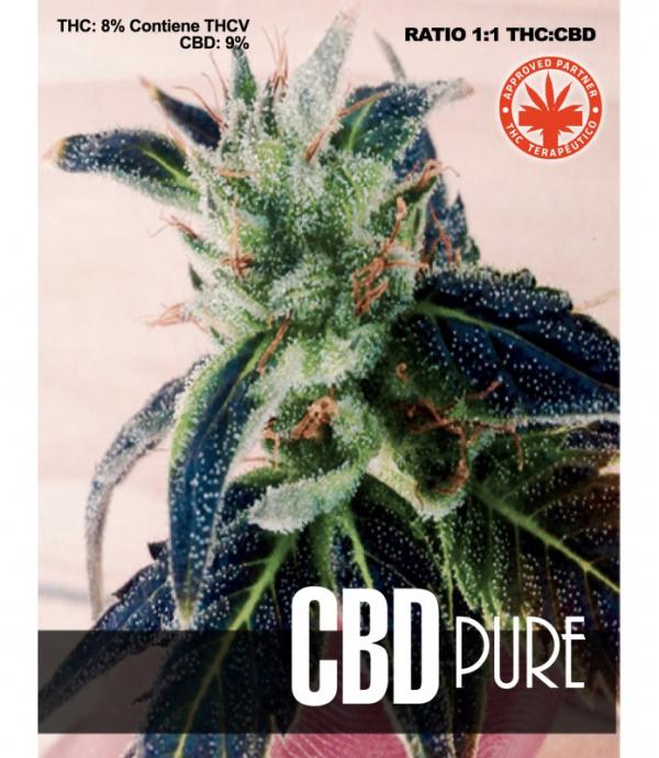CBD Pure (3-seed pack)