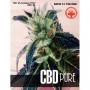 CBD Pure (3-seed pack)