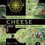 Cheese (Pack 3 semillas)