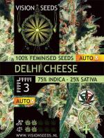 Delhi Cheese Auto (Pack 3 graines)