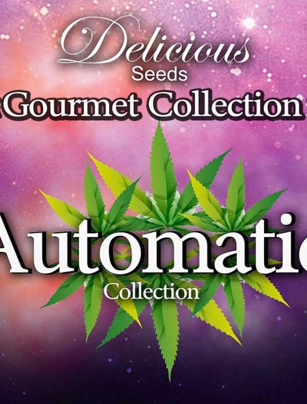Gourmet Collection Automatic 2 (Pack 9 graines)