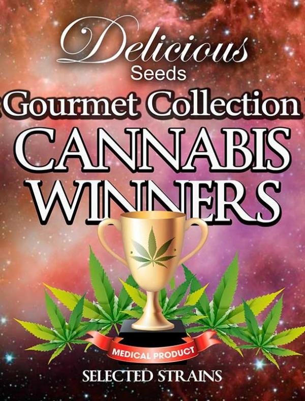 Gourmet Collection Cannabis Winners 1 (Pack 9 graines)