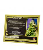 Jack 47 Auto® Strain Info / Jack 47 Auto® Weed By Sweet Seeds