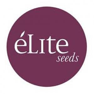 éLite Seeds