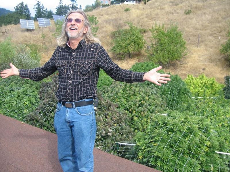 La enciclopedia del cultivador de cannabis: Jorge Cervantes nos cuenta cómo  es su nueva "Biblia de la marihuana" - LaMota GrowShop