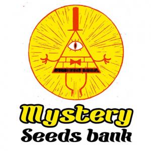 Mystery Seeds