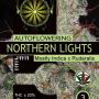 Northern Lights Auto (Pack 3 semillas)