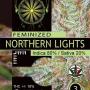 Northern Lights (Pack 3 semillas)