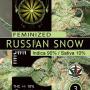 Russian Snow (Pack 3 semillas)