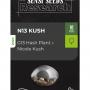 N13 Kush (5-seed pack)