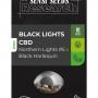 Black Lights CBD (Pack 5 graines)