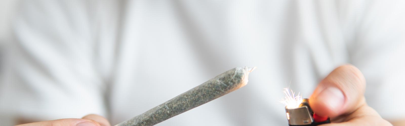 Astuces et conseils simples pour masquer l'odeur du cannabis - LaMota  GrowShop