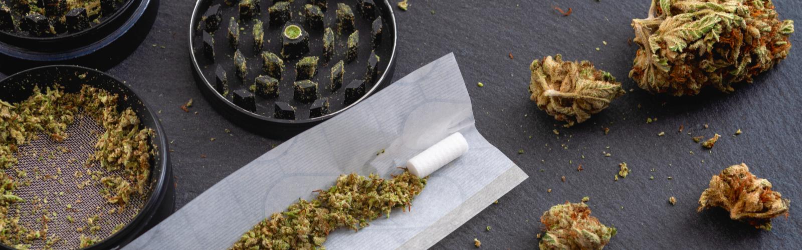 Guide basique pour rouler un joint de cannabis- Alchimia Grow Shop