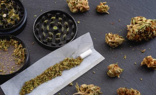 Comment rouler un bon joint de cannabis ? - LaMota GrowShop