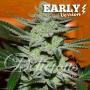 Unknown Kush Early Version (Pack 3 semillas)