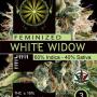 White Widow (Pack 3 semillas)